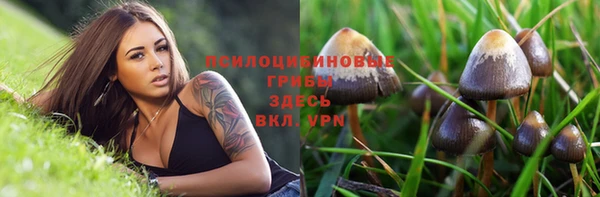 jwh Арсеньев