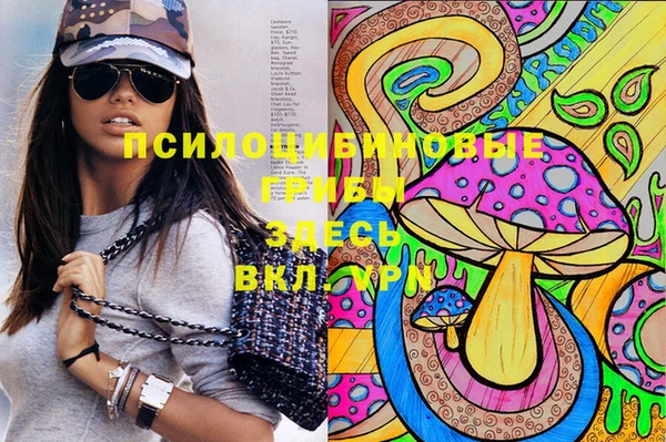 ешки Аркадак