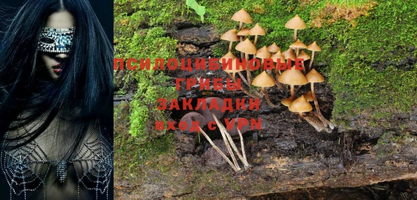 ешки Аркадак