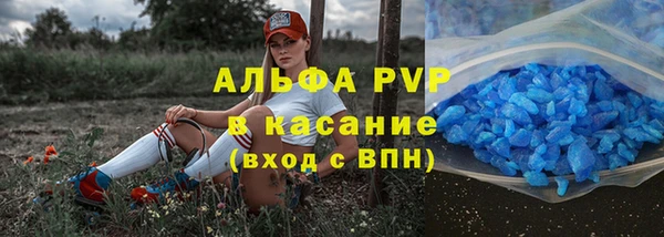 ешки Аркадак