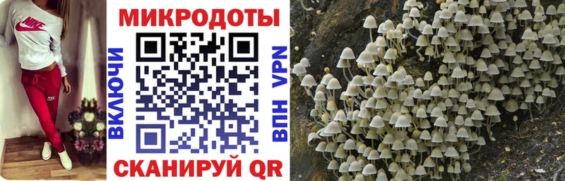 OMG tor  Бор  Псилоцибиновые грибы GOLDEN TEACHER  купить закладку 